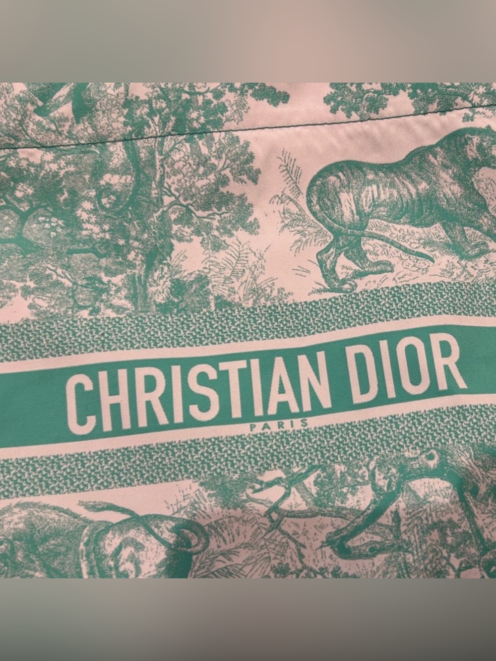 Dior Pouch - Picture 4 of 4